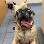 Phương ở Móng Cái, Quảng Ninh - Cao vừa k đen k hôi =))