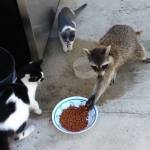 Nguyen ở Quận 8, TP Hồ Chí Minh - Tìm FWB, ONS. Chỉ cần kín tiến