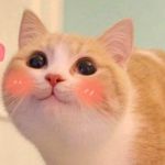 Quang ở Hoàng Mai, Hà Nội - https://www.facebook.com/Quanp