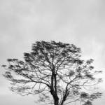 Nguyễn Tài ở Cầu Giấy, Hà Nội - Tìm ONS