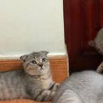 tun ở Long Thành, Đồng Nai - tìm fwb