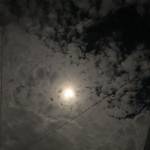 Mixthi - tìm bạn gái đã ly dị chồng