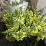 Lê minh hù ở Hải An, Hải Phòng - Vui vẻ chân thành công việc ổn