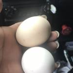 Nguyễn Xuâ ở Hải An, Hải Phòng - Thích phưu lưu. Du lịch. Học h