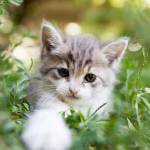 hà ở Bến Cát, Bình Dương - là 1 người hướng nội