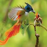 hoanghoa ở Bình Tân, TP Hồ Chí Minh - đơn giản, dễ gần