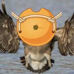 Hoàng ở Hoàng Mai, Hà Nội - Vui vẻ, hơi nhát