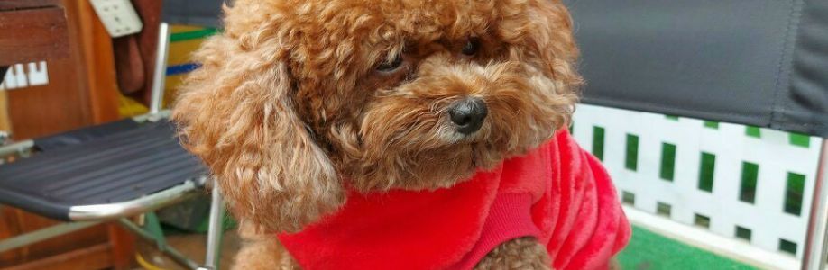 Huỳnh thanh Cover Image