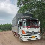 Tài hồ ở Xuân Lộc, Đồng Nai - Vui vẻ ,dễ gần, thích tự do.mạ