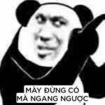 Nguyen hoà ở Vũng Tàu, Bà Rịa - Vũng Tàu - Tự do đã có gia diình