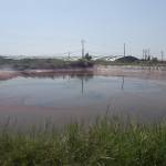 aaa ở Long Biên, Hà Nội - hạnh phúc từ những điều đơn gi