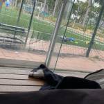 hoàng ở Hải Châu, Đà Nẵng - normal