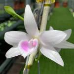 Tommy Huyn ở Thủ Dầu Một, Bình Dương - Nói bạn sau