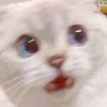 Minh ở Hải Dương, Hải Dương - Thân thiện hoà đồng