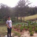 Hai Nguyen ở Tân Phú, TP Hồ Chí Minh - Tìm người yêu lâu dài