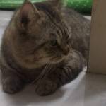 Viet ở Quận 9, TP Hồ Chí Minh - Tìm cảm giác vui vẻ