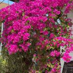 An ở Krông Búk, Đắk Lắk - Gặp nhau sẽ rõ hơn