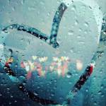 Nguyễn Ngọ ở Quận 1, TP Hồ Chí Minh - mọi thứ đều bình thường !!!