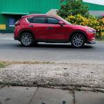 Binh minh tìm bạn đời sau ly hôn