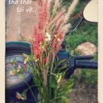 Nani tim ban les fem qua so dien thoai