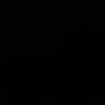 Bánh bao ú ở Bình Thủy, Cần Thơ - Độc thân