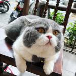 Linh Tran ở Hà Đông, Hà Nội - Mình tên Linh 2001 . Rất vui đ