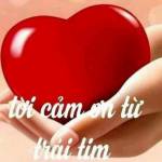 Lê Qui ở Hà Đông, Hà Nội - Hòa đồng