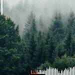 AX ở Đống Đa, Hà Nội - ONS