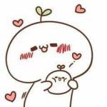 Bon ở Sơn Trà, Đà Nẵng - .