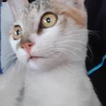 sonksnb ở Bình Lục, Hà Nam - muốn tâm sự về cs