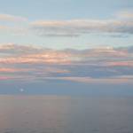 Nguyễn hải ở Kiến An, Hải Phòng - Trầm tính nhung hòa đồng