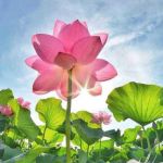 Genzz ở Vũng Tàu, Bà Rịa - Vũng Tàu - Hạnh phúc đến từ những điều đơ