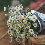 Lê thế hiế ở Ngọc Hồi, Kon Tum - K đep trai nhưng lâu ra lắm