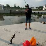 Destiny ở An Biên, Kiên Giang - Tìm bạn tâm sự