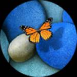 MrGiang ở Việt Trì, Phú Thọ - Co don tim ban