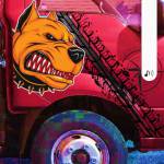 Bùi Thái Dương Profile Picture