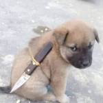 phi ở Nam Từ Liêm, Hà Nội - thích đụ