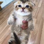 Lê amh vũ ở Bình Chánh, TP Hồ Chí Minh - Mình ở bình chánh muốn tìn fwb