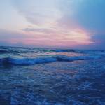 Dảnh ở Hóc Môn, TP Hồ Chí Minh - Vui vẻ