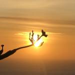 Di ở Quận 3, TP Hồ Chí Minh - Sớm mai chưa chắc trời sẽ nắng