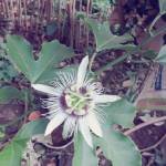 Quy Thiên  ở Bình Thạnh, TP Hồ Chí Minh - Chân Thành - Thấu Hiểu - Biết 