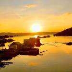 Tâm ở Đông Hòa, Phú Yên - Hoa rơi vô tình