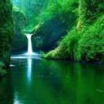 henry ở Hải Châu, Đà Nẵng - hi xin chào