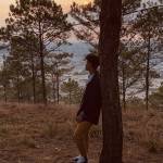 Vũ Lê Profile Picture