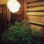 Lyna ở Nha Trang, Khánh Hòa - Les