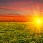 Quang Profile Picture