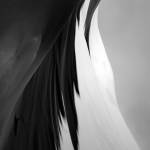 Nddd ở Tân Phú, TP Hồ Chí Minh - Hssv chua co kinh nghiem