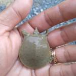 Tuấn vinh ở Đức Hòa, Long An - Thích tình dục