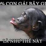 tim ban gay top bot Phạm Văn Luân