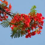 Ngoc Nguye ở Thanh Xuân, Hà Nội - bân rộn công việc , trung thực